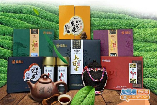 福音山茶加盟费
