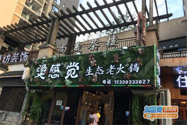 烫感觉生态老火锅加盟费