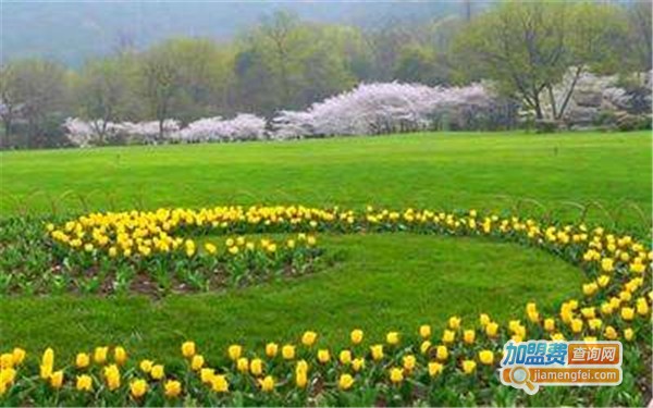 花圃种植基地加盟店