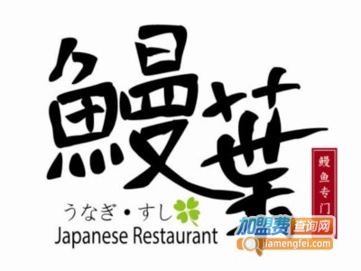 鳗叶加盟费