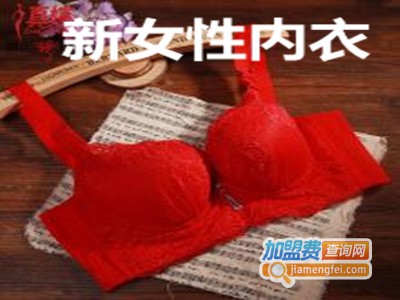 新女性内衣加盟