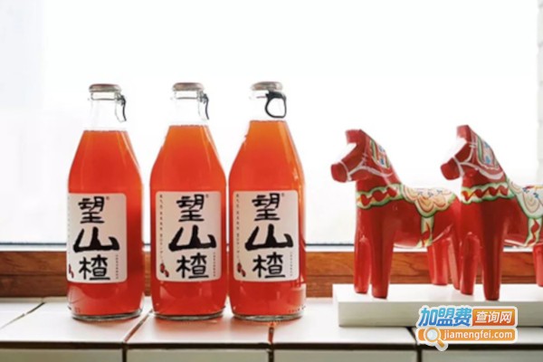 望山楂气泡水加盟