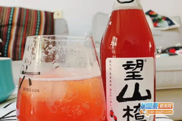 望山楂气泡水加盟