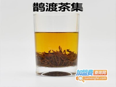 鹊渡茶集加盟费