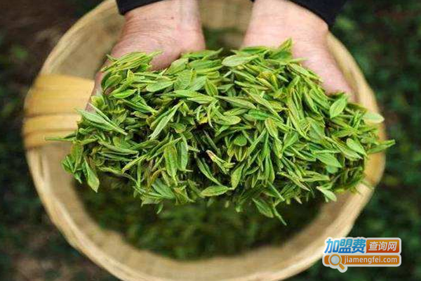 同茂茶业加盟费