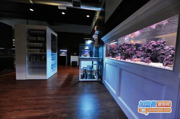 水族店加盟