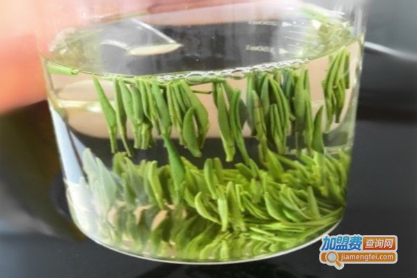 毛尖茶加盟费