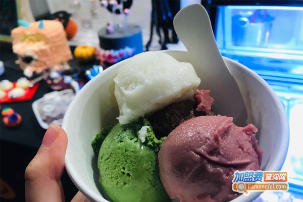 陕拾叁冰淇淋加盟门店