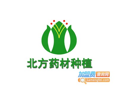 北方药材种植加盟费