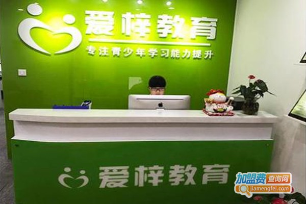 专注力课程加盟费