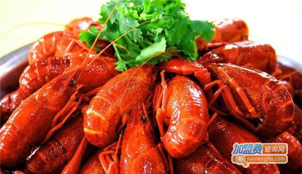 阿文龙虾加盟费