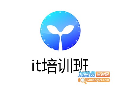 it培训班加盟费
