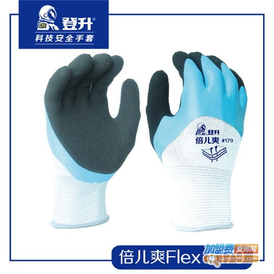 登升加盟费