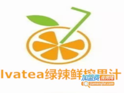 lvatea绿辣鲜榨果汁加盟费