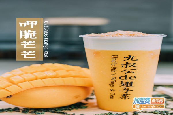 九叔公的翅与茶加盟费