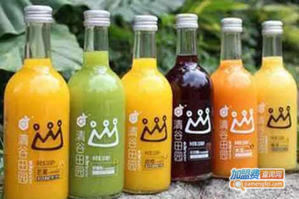 Frut Actually果汁加盟费