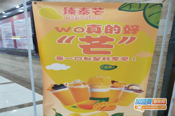 臻泰芒加盟费