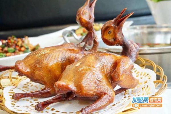 食指鸽加盟费
