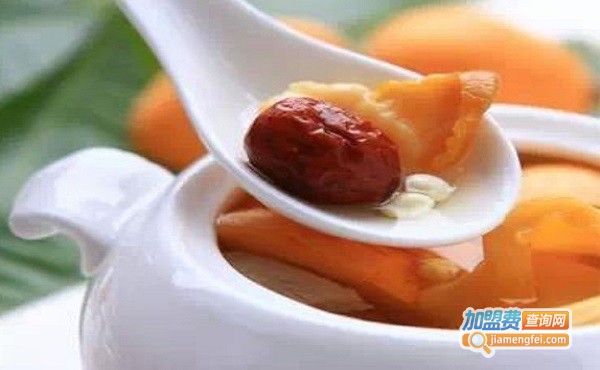 汤小丫•炖品加盟费