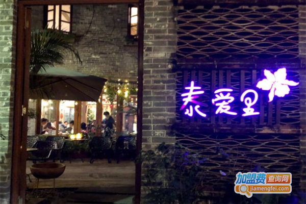 泰爱里加盟费
