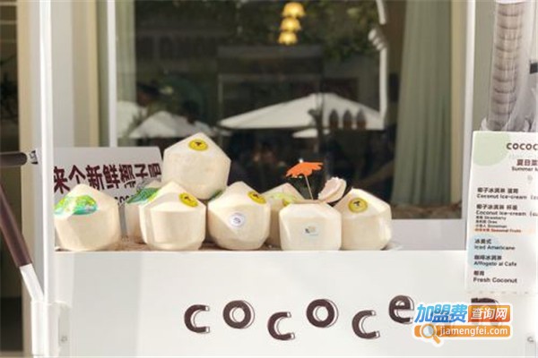 cococean网红椰子冻加盟