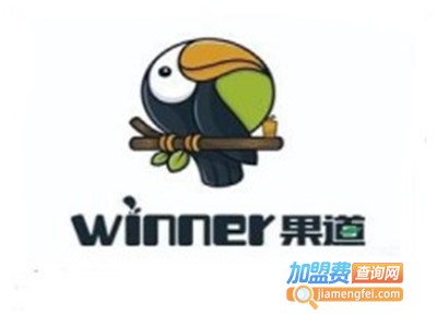 winner果道加盟费