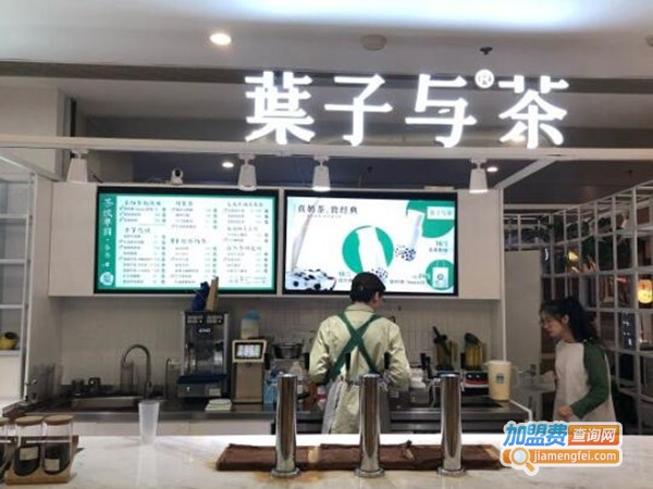 葉子与茶加盟费
