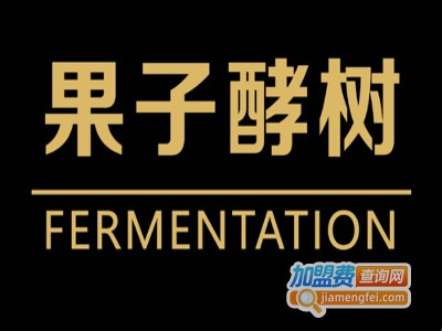 果子酵树加盟费