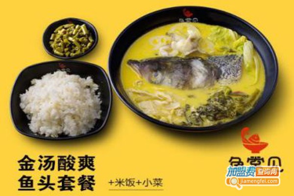 鱼常见金汤鱼头米饭加盟费