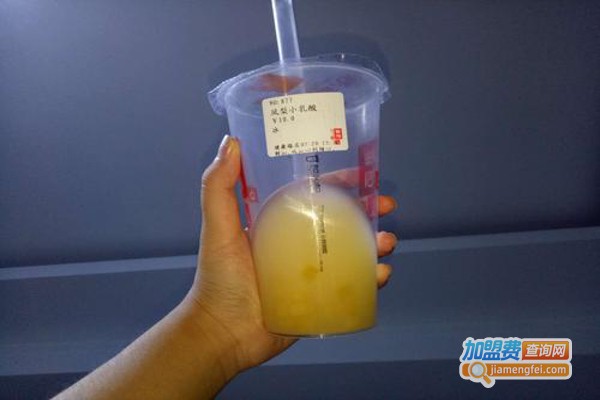 鲜沁plus加盟费