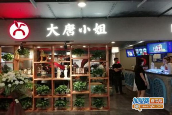 大唐小姐加盟费