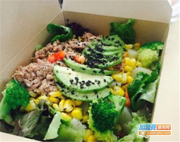 一本小蔬餐厅加盟费