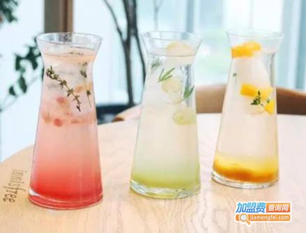 大乐果汁冰加盟费