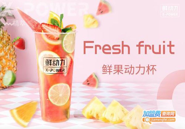 鲜动力Xpower加盟费
