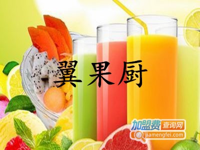 翼果厨加盟费