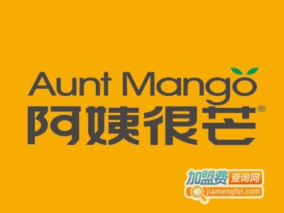 AuntMango阿姨很芒加盟费