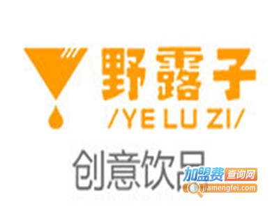 野露子潮流饮品加盟费