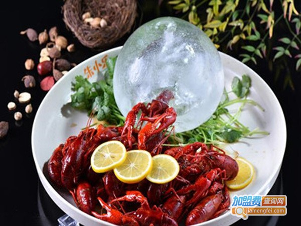 朱小乐的龙虾生活加盟店