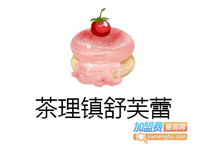 茶理镇舒芙蕾加盟电话