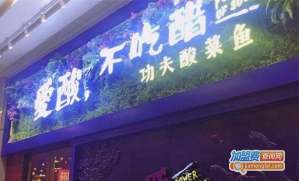 爱酸不吃醋功夫酸菜鱼店加盟费