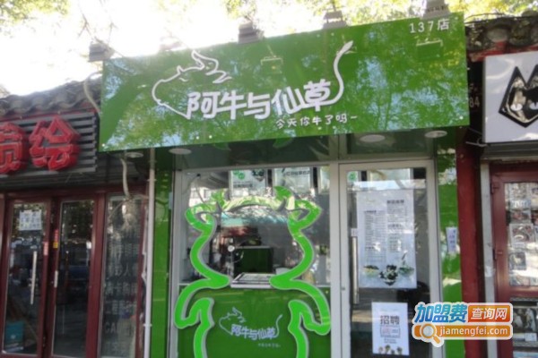 阿牛与仙草奶茶加盟店