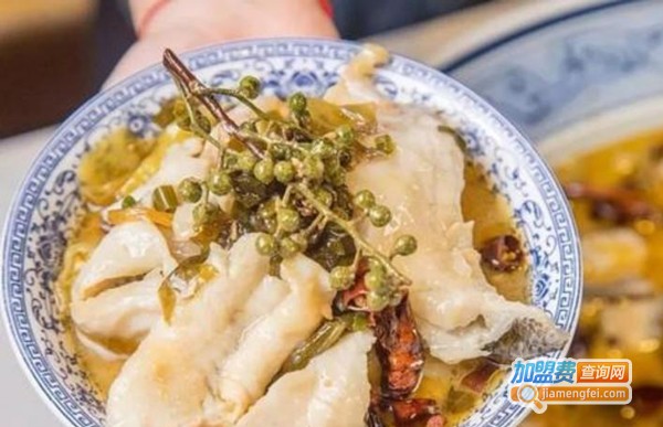大肥鱼加盟费