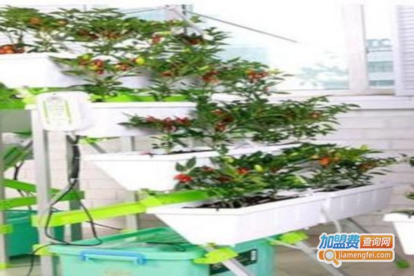 植彩坊智能家庭园艺机加盟费