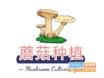 菌菇种植加盟费