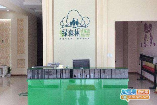 绿森林墙饰加盟费