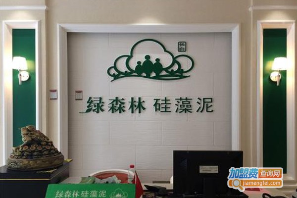 绿森林墙饰加盟费
