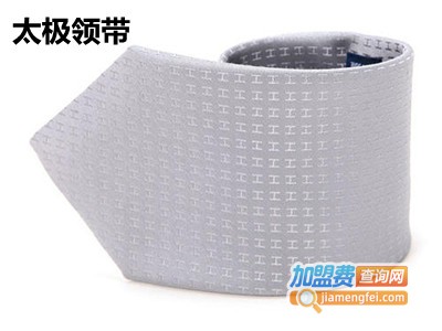 太极领带加盟费