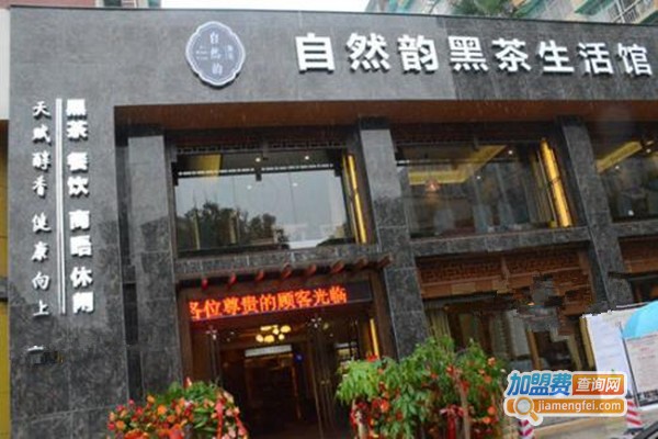 自然韵黑茶