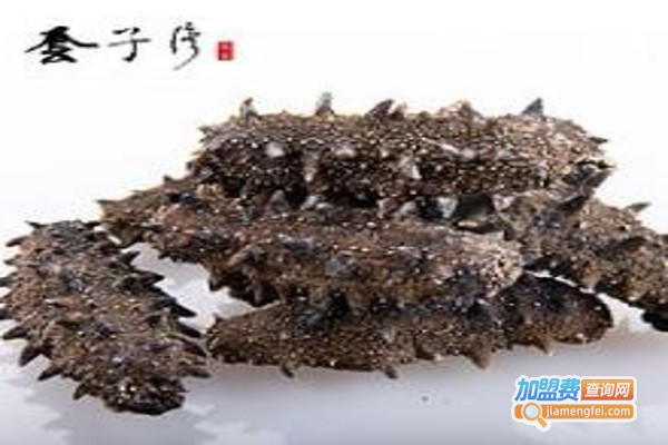 套子湾干海参加盟费