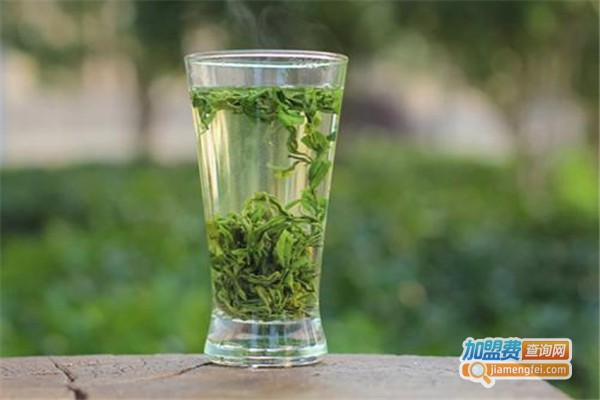 浙茶茶叶加盟费